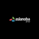 Avatar for Aslanoba Labs