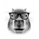 Avatar for Josh Hsi