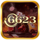 6623vnshop