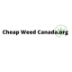 Avatar for cheapweedcanada