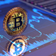 Avatar for bitcoin casino bonus