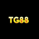 Photo of TG88