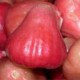 waxapplelover