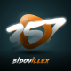 bidouillex