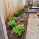Greenscapes Outdoor