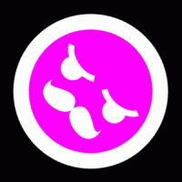 oswwall