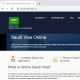 Avatar for SAUDI  Official Government Immigration Visa Application Online  - USA and LAOS Citizens - SAUDI visa application immigration center