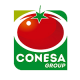 Avatar for Conesa Group