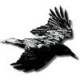 ravenworks's picture