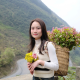 Khánh Linh