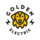 Avatar for goldenelectric