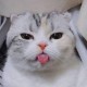 EIJGNEFWjnge