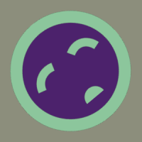 needaminivan3