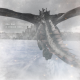 rearwing54