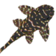 Nexxusone