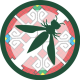Avatar for OWASP Sofia