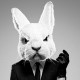 bunnybear