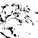 Douglas Mencken's avatar