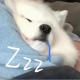 ruthbing