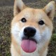 Avatar for yuji0602