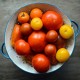 Languish in the joy of fresh tomatoes