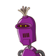 guest