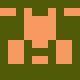 Muscae