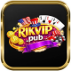 rikvippub