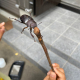 eriiiya@icloud.comのアバター
