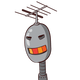 guest
