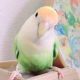 Avatar for 髙須 有沙
