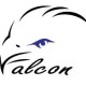 saintfalcon