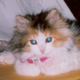 debbieb97 Avatar