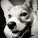 Avatar for Charlie Tran
