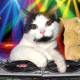 View hrlries's Profile