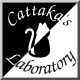 Avatar for Takao Sumitomo
