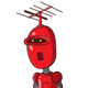 guest