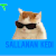 sallanankedi