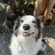 lupetto_00