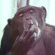 Avatar for masanara