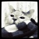 Avatar for Shunta Saito