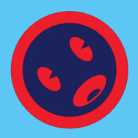 hon247