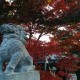 Avatar for Yohei Taniguchi