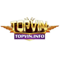 TOPVIN