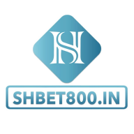 shbet800in