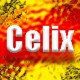 Celil