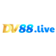 Photo de dv88live