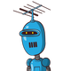 guest