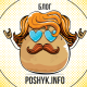 poshyk