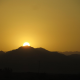 نه به سورویوال